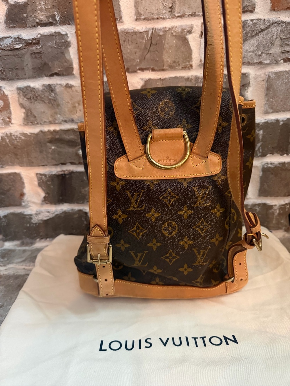 Louis Vuitton Montsouris MM backpack - Picture 3 of 11